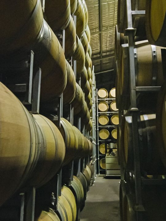 Curtis-Winery_Barrells Curtis Family Wines