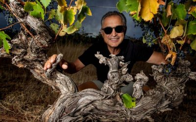 2026–2027 Issue Meet The Winemaker – Paul Georgiadis